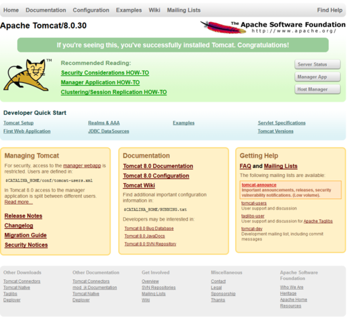 Tomcat