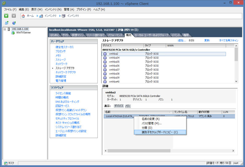 RAW device mapping